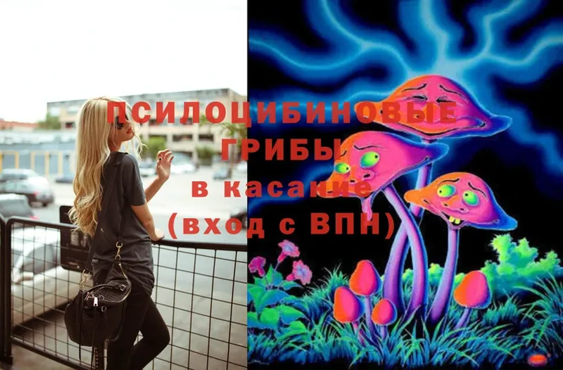 Галлюциногенные грибы MAGIC MUSHROOMS  Нарткала 